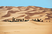 Vacances Mauritanie - Le d&eacute;sert
