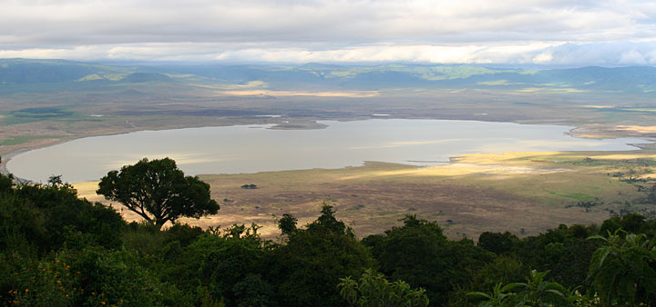 Safari d'exception en Tanzanie