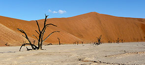 Namibie Circuit itinérant en privé et sur mesure, en voiture de location ou avec chauffeur