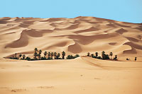 Vacances Mauritanie - Le désert
