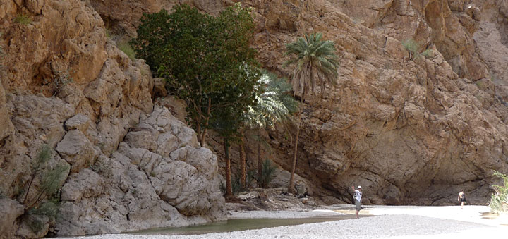 Oman, les trésors de Sindbad