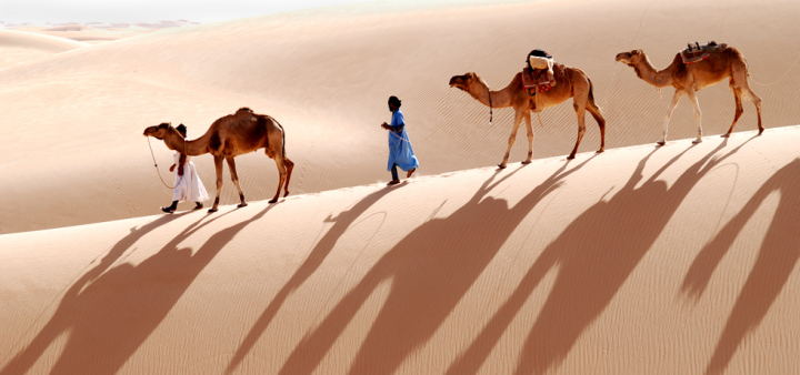 Tout savoir sur le voyage Mauritanie - Randonnée dans l'Amatlich...