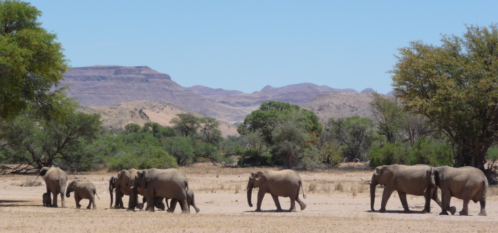 Périple en terres Namibiennes