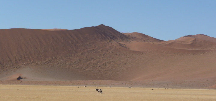 Périple en terres Namibiennes