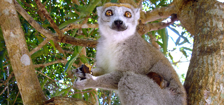 Tout savoir sur le voyage Madagascar - Sur la N7, immersion dans les hautes terres...