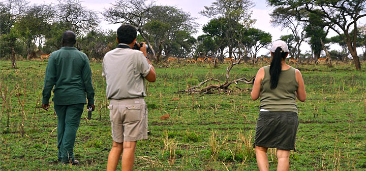 Safari d'exception en Tanzanie