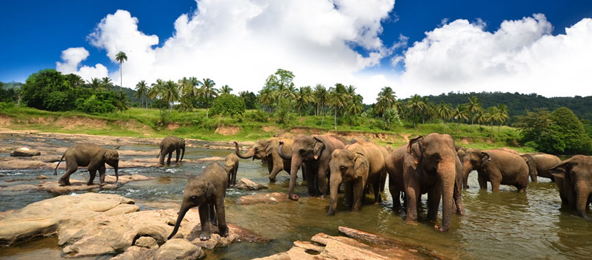 Au cœur de la perle de l'Océan Indien