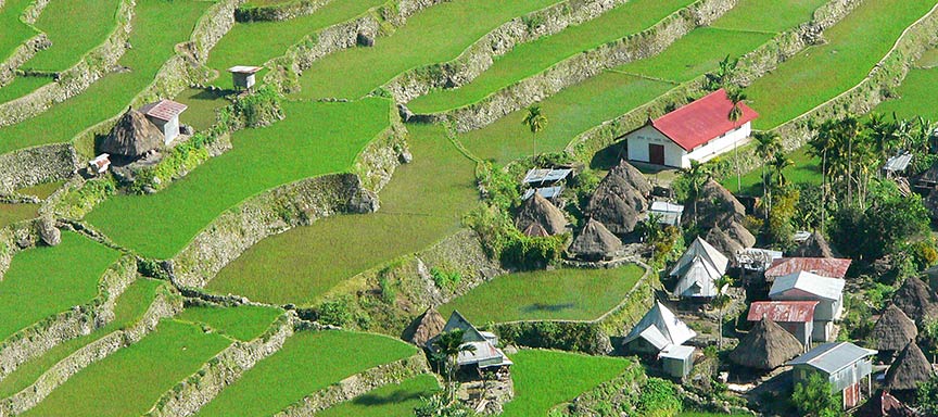 Périple au cœur d'une Asie latine