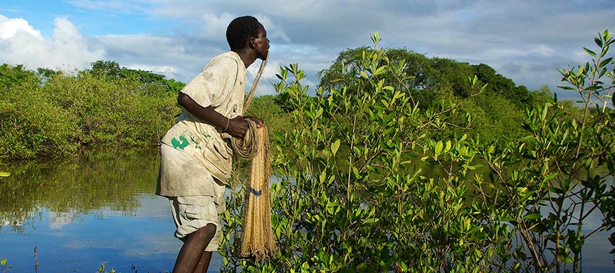 Autour d'une adresse de charme dans le Siné Saloum