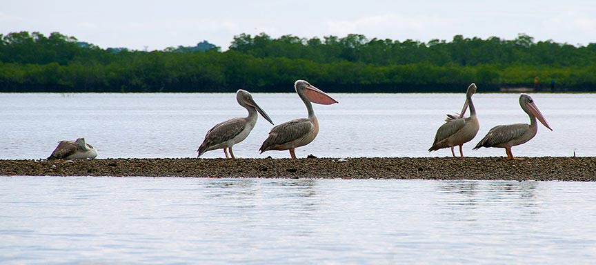 Autour d'une adresse de charme dans le Siné Saloum