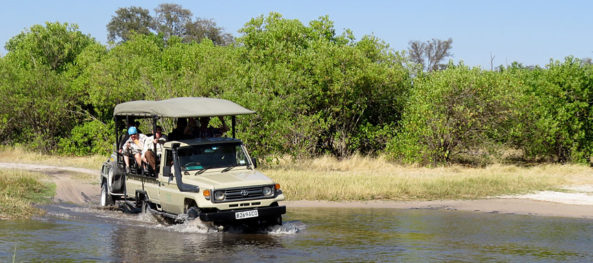 Safari francophone confort