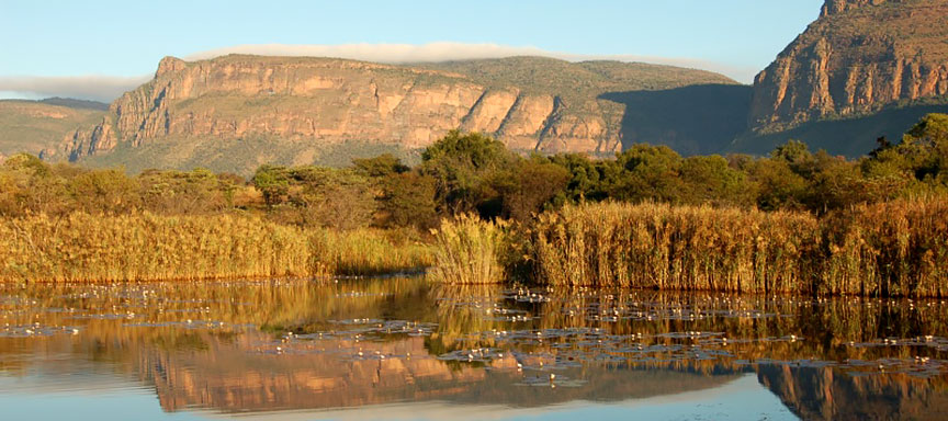 L'Afrique du Sud sur mesure