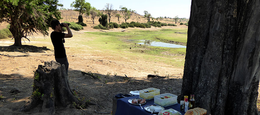 Merveilles du Botswana