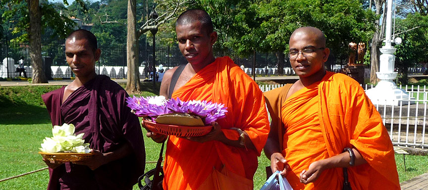 Au cœur de la perle de l'Océan Indien