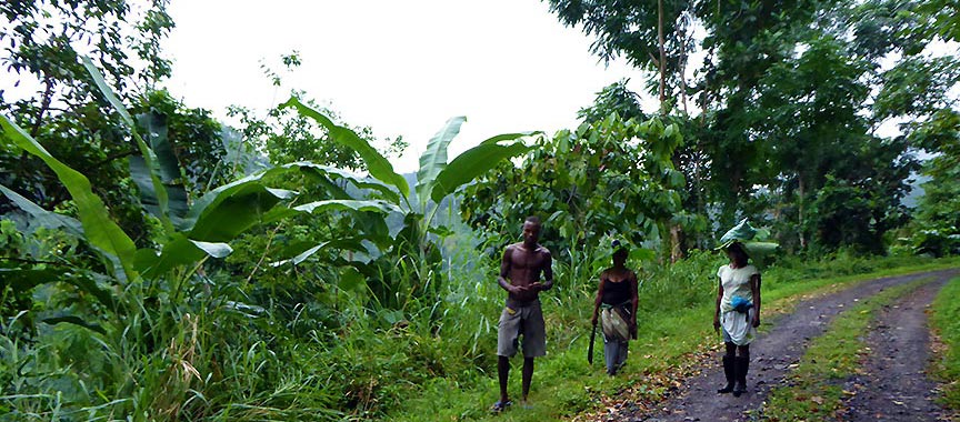 Périple sur l'île cacao