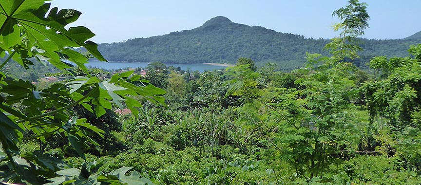 Périple sur l'île cacao